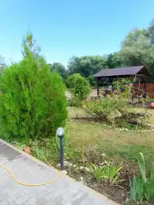 Сова - 0