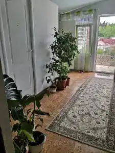 Мини Пансион - 3