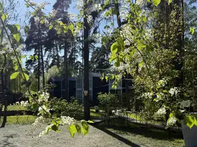 Скворешники - 8