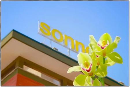 Sonne - 10