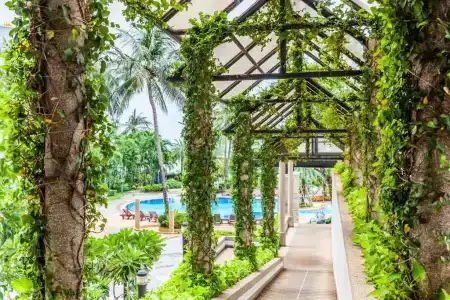 Cholchan Pattaya Beach Resort - Sha Extra Plus - 42