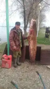 Найт Флайт - 45