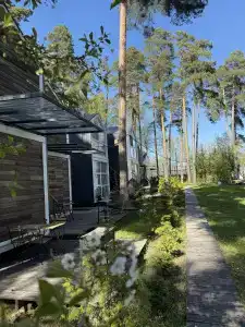 Скворешники - 1