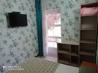 Подсолнухи - 2