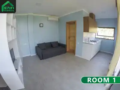 Kiwi Georgia - 5