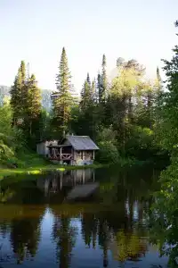 Глэмпинги Алтай Forest Glamp - 4