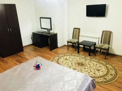 Sultan Beibarys - 29