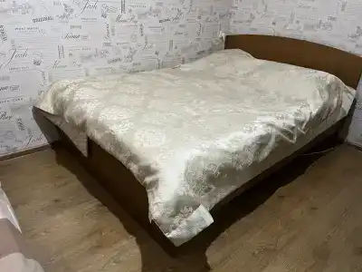 Алиса - 15