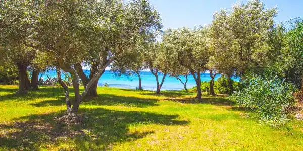 Malt BeachFront - 20