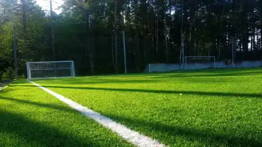 Огонек - 8