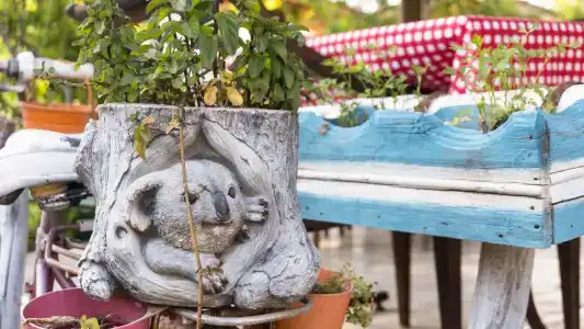 Koala Bungalows - 1