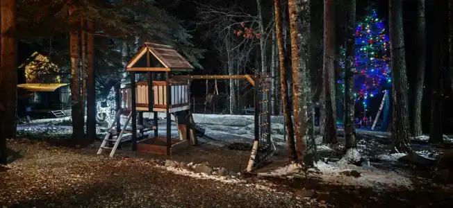 Ух-ты, Пихты! - 6