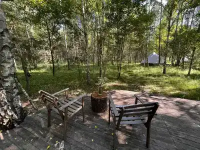 Звездный лес - 52