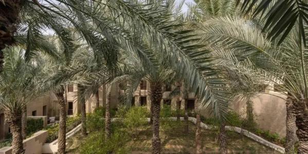Bab Al Shams Desert Resort - Dubai - 20