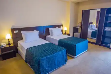 Ani Central Inn - 50