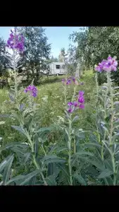 Дом на колесах - 8