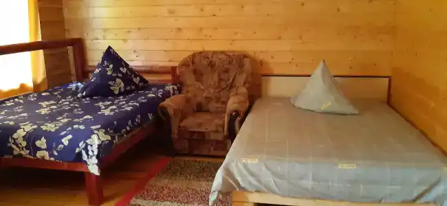 Сосны - 2