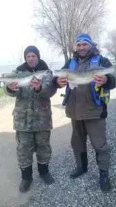 Найт Флайт - 46