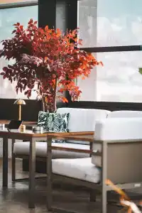 Almira Thermal Spa & Convention Center - 42