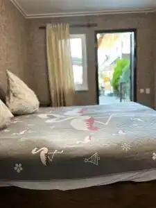Sofia - 16