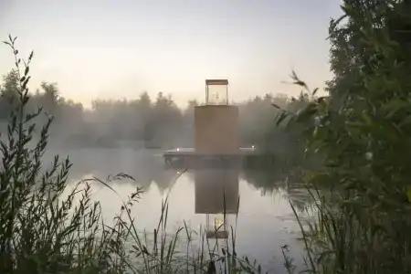 Клевер - 117