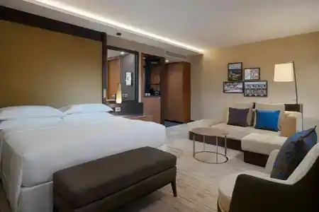 Sheraton Grand Tbilisi Metechi Palace - 9