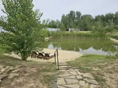 Белозерская - 33