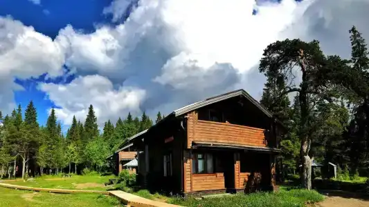 Кедр Грасс Белое Море - 113