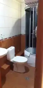 Шатура Холл - 102