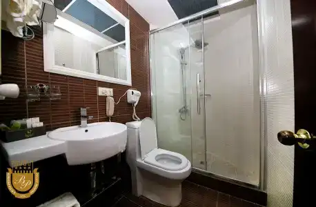 Borjomi Palace Health & Spa Center - 60