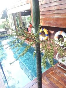 Seven Senses Guesthouse - 5