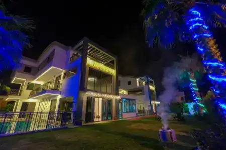 Eden Nest Exclusive - 22
