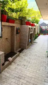 Sun Yard - 16