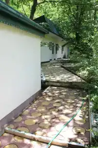 Дубовая Роща - 9
