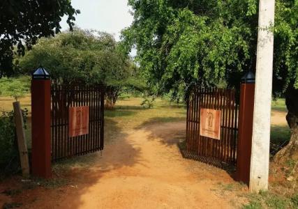 THE ELEPHANT PASS - YALA - 4