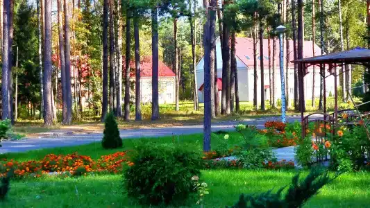 Чайка - 11