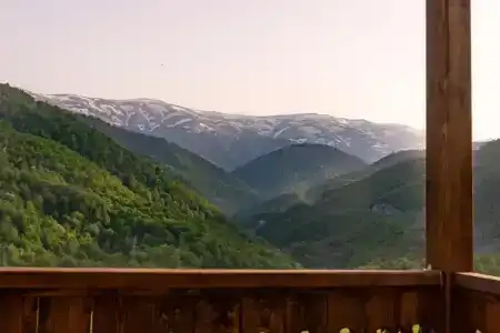 Motives Inn - 8