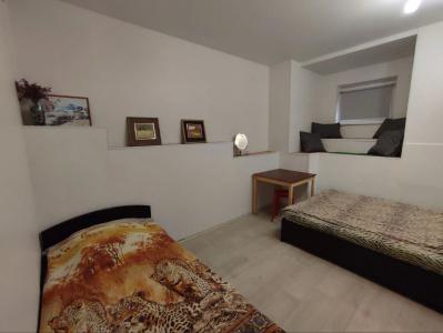Zebra Hostel - 1