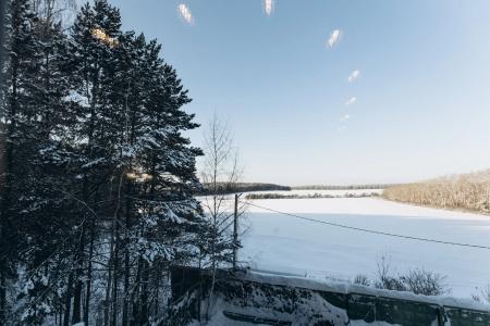 Дверь в Лес - 96