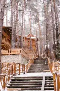 Нара Эстейт - 5
