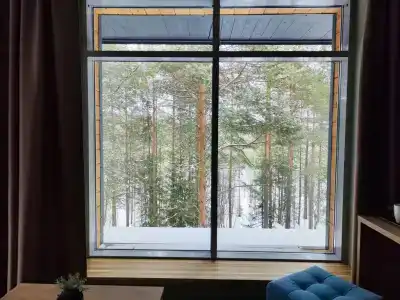 Зеленый Бор - 16