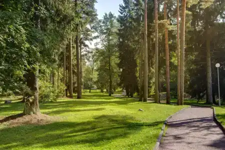 Репино Парк - 6