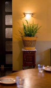 Communal Telavi - 13