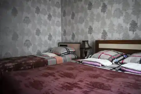 Турист - 33