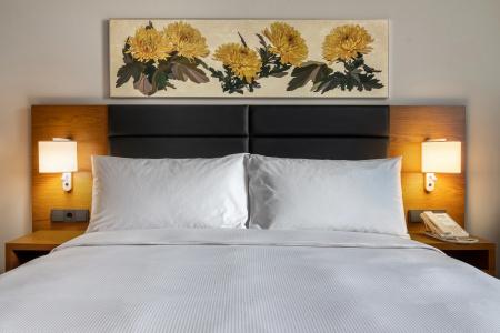 Hilton Garden Inn Tbilisi Chavchavadze - 12