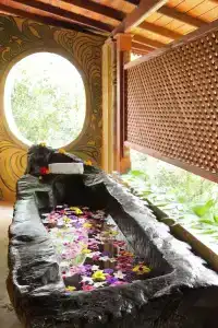 Tree of Life Nature Resort - 9