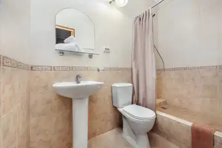 Инжир - 53