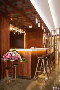 Victory & Spa Istanbul - 25
