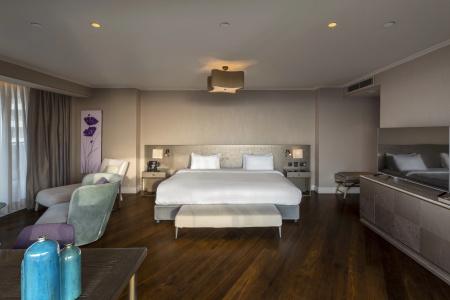 Radisson Blu Istanbul Ottomare - 115