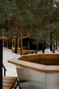Место под соснами - 4
